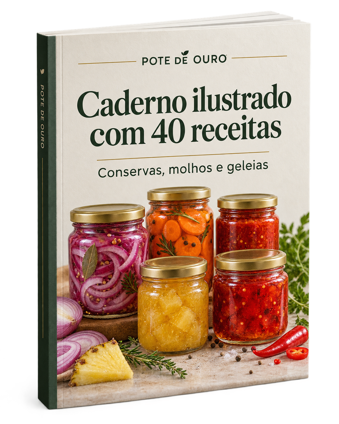 Capa do Caderno ilustrado com 40 receitas